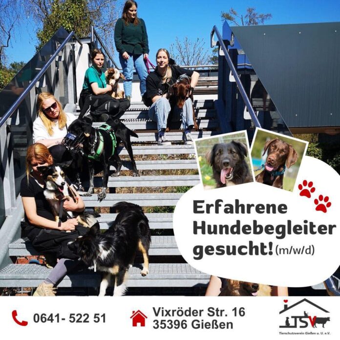 2025-06-05 Bild Hundebegleiter