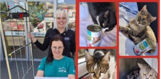 Herzlicher Dank für großzügige Katzenfutterspende an Rewe Kaiser in Fronhausen!