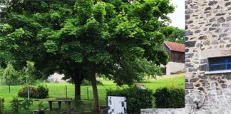 Hungener Grüne auf Bürgerdialog-Tour in Obbornhofen