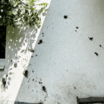 Vandalismus auf dem Gelände der Waldkita Nordeck – Anzeige erstattet