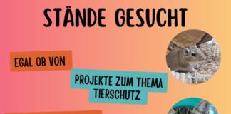 Sommerfest im Tierheim Gießen lädt zu tierfreundlichem Markttreiben ein!
