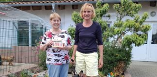 Spenden statt Geschenke