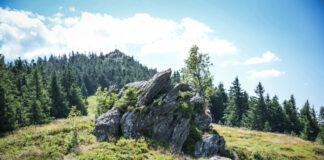 Hitzeschlacht am Osser – Der U.TLW forderte alles und zwei Wettenberger kamen erfolgreich ins Ziel