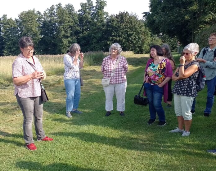 01_IMG_20250811_114238