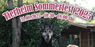 Sommerfest im Tierheim: Ein Tag voller tierischer Highlights!