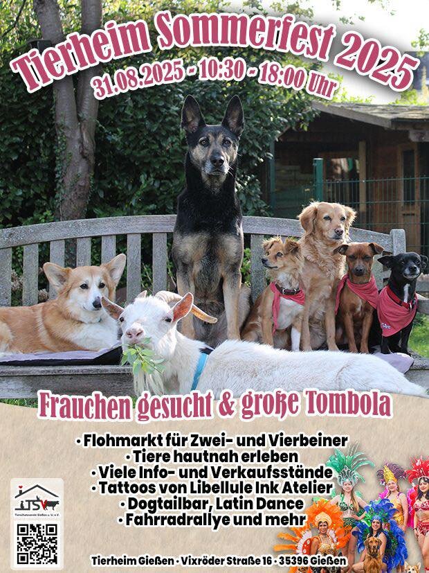 2025-07-04 Bild Sommerfest 2025