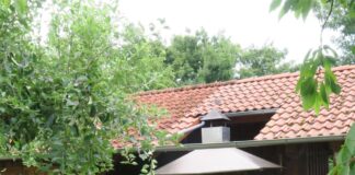 Sommerfest mit Bürgerdialog: “Die Grünen kommen rum” macht Station in Nonnenroth