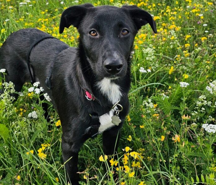 WhatsApp Image 2025-07-30 at 13.38.50