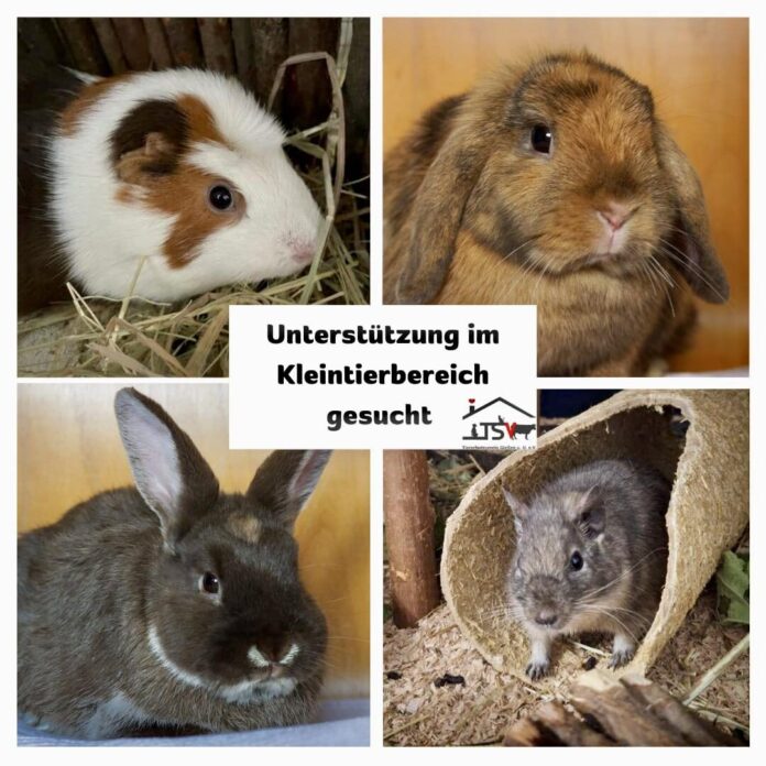 2025-09-04 Bild Unterstützung Kleintiere