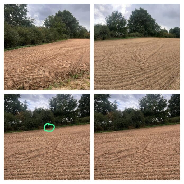 2025-09-08 Bild Fallen-Diebstahl