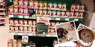 Große Futter-Aktion im XXL Fressnapf Gießen!