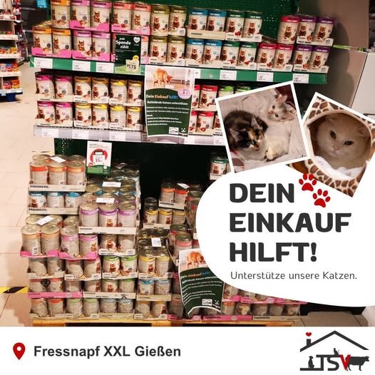 2025-09-15 Bild Fressnapf Aktion