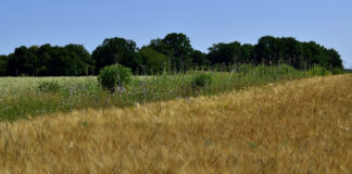 Rückblick – meine Radtouren `25 im Bild