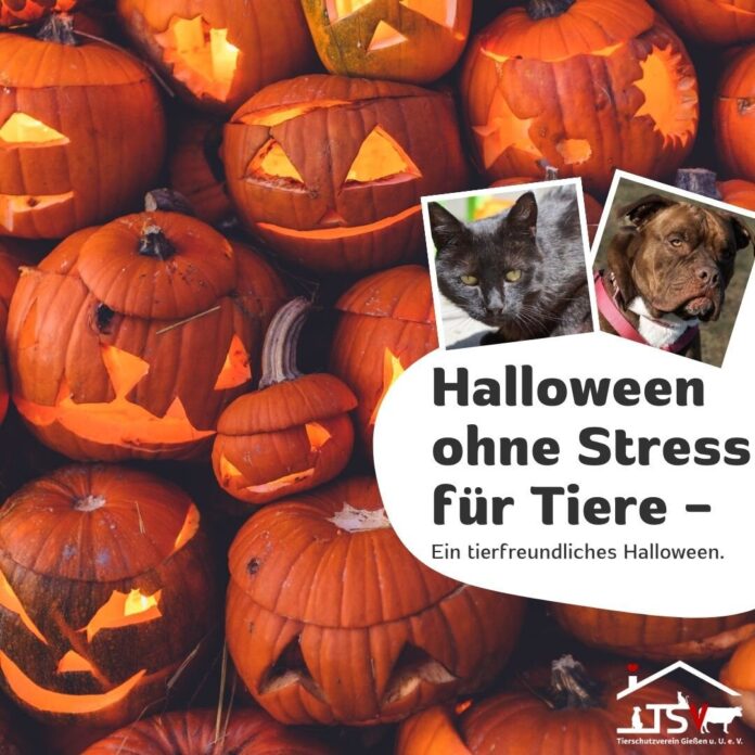 2025-10-31 Halloween