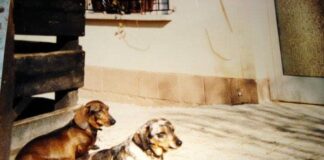 Eine unvergessene Geschichte!