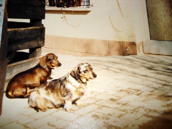 465892856_9435333649827318_3704649629153578352_n