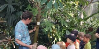 NAJU auf Forschungsreise in den Tropischen Regenwald