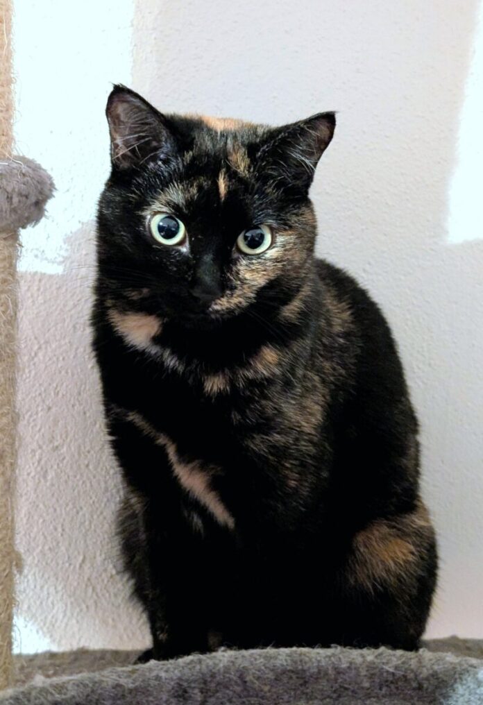 PXL_20251028_160343241.PORTRAIT.ORIGINAL~2