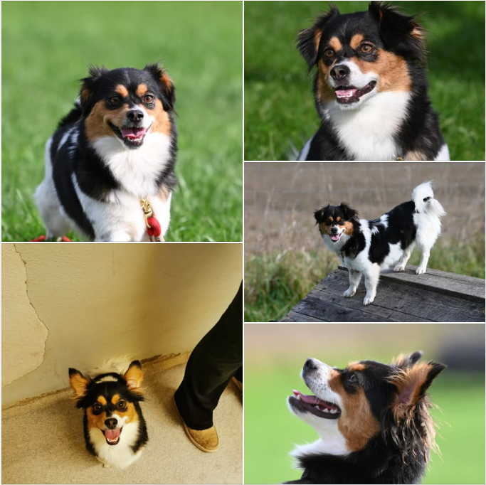 Screenshot 2025-10-20 105901