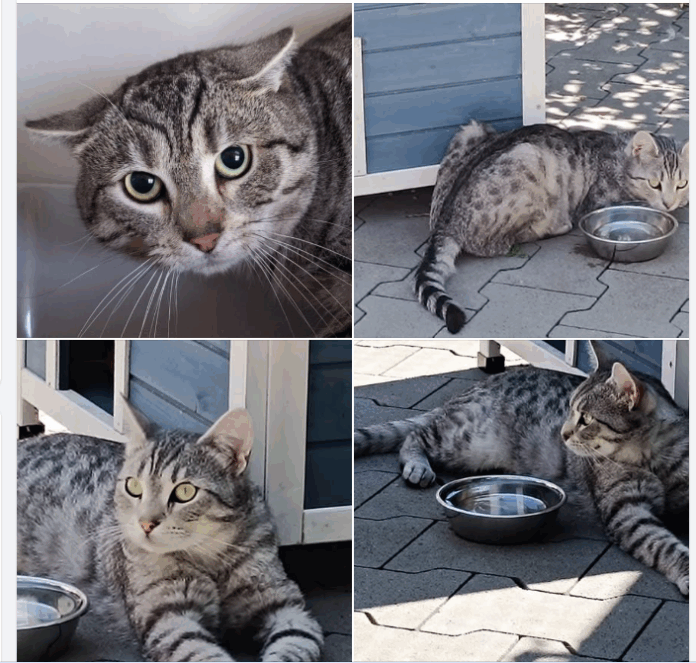 Screenshot 2025-10-26 194811