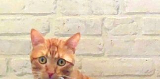 Bitte trennt uns nicht!