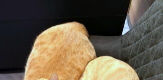 Mutter und Sohn for ever!