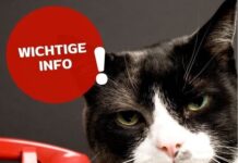 Wichtige Information – Begrenzte Erreichbarkeit