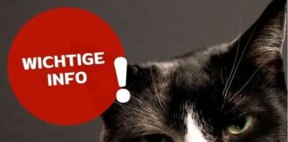 Wichtige Information – Begrenzte Erreichbarkeit