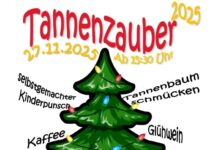 Tannenzauber in der Nordstadt