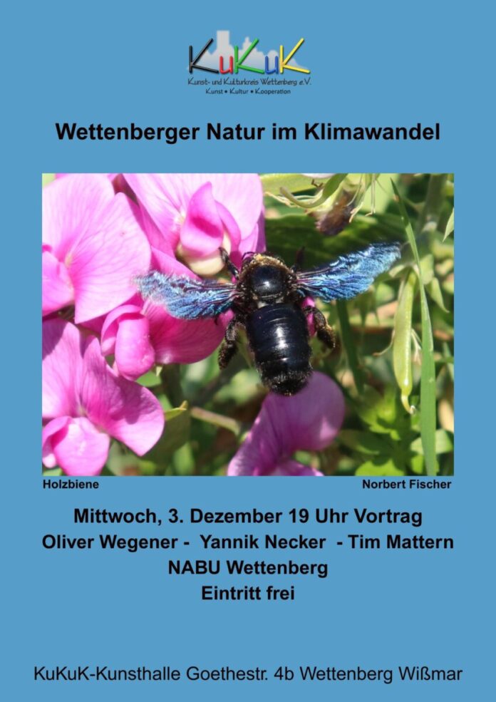 20251203 NABU Plakat kl