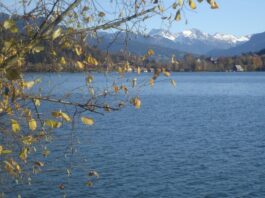 “Goldener November” am Grossen Alpsee im Allgäu