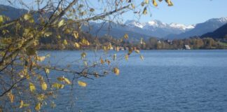 “Goldener November” am Grossen Alpsee im Allgäu