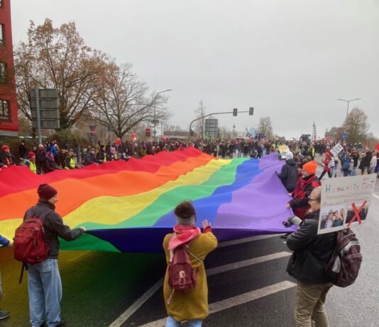 Demo für Demokratie