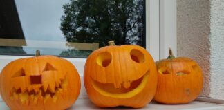 Gruselkürbisse in der Waldkita Nordeck