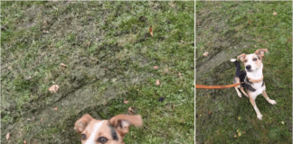 Snickers sucht sportliche und souveräne Menschen!