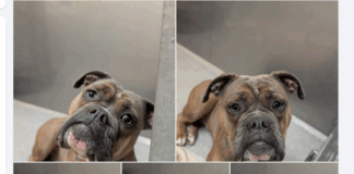 Volle Energie, hohes Potential: Wer gibt Sunny die nötige Führung?