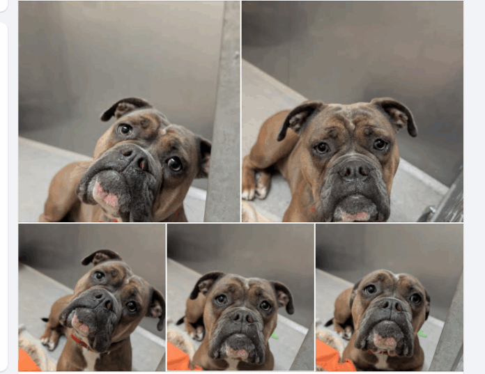 Screenshot 2025-11-27 103523