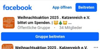 Weihnachtsakton 2025 Katzenreich e.V. bittet um Spenden