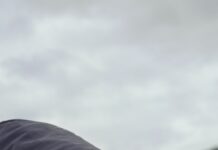 Herzliche Einladung zur Jahresabschlusswanderung