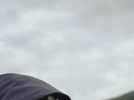 Herzliche Einladung zur Jahresabschlusswanderung