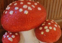 Die Tieroase Heuchelheim wünscht eine schöne und fröhliche Vorweihnachtszeit!