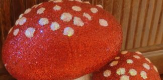 Die Tieroase Heuchelheim wünscht eine schöne und fröhliche Vorweihnachtszeit!