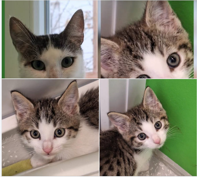 Screenshot 2025-12-08 070503