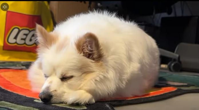 Screenshot 2025-12-14 202837