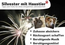 Vorbereitung auf Silvester