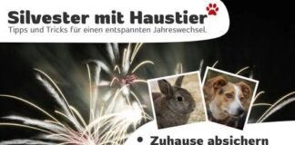 Vorbereitung auf Silvester