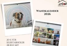 12 Monate, 12 Glücksmomente – Der Fotokalender vom Tierheim Gießen