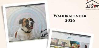 12 Monate, 12 Glücksmomente – Der Fotokalender vom Tierheim Gießen