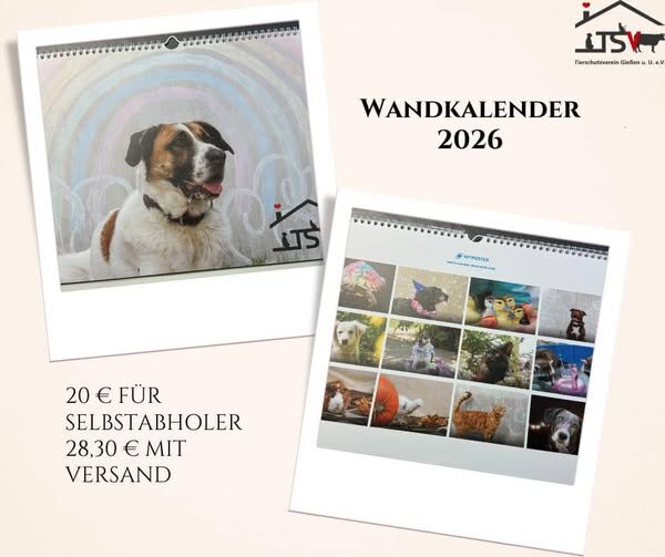 Wandkalender Tierheim 2026