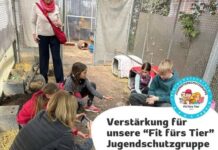 “Fit fürs Tier” sucht Verstärkung